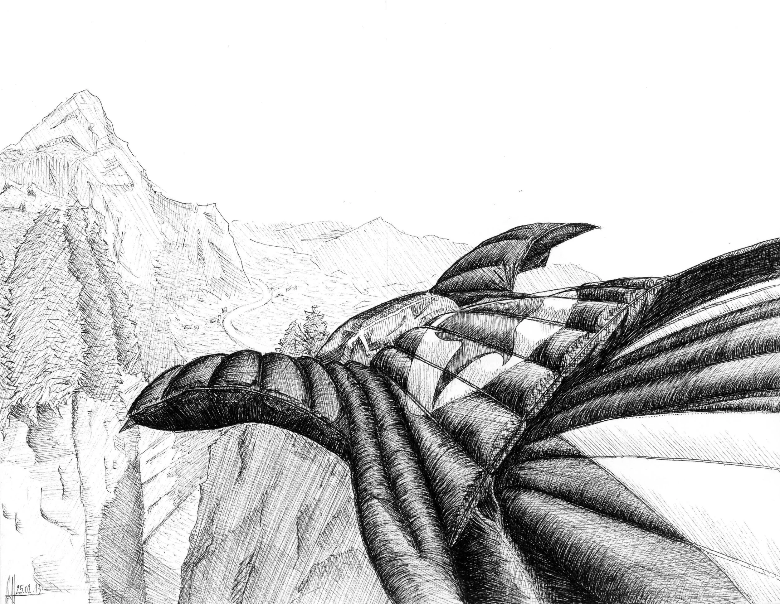 Art — Alizee Hazan Design